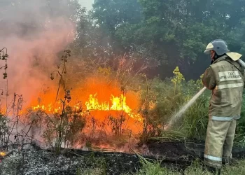 Нұсқаманың орындалмауы неге әкеледі? Абай облысындағы жағдай