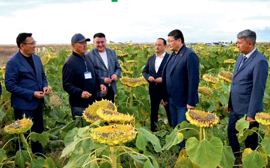 ОН АЙ: НАҚТЫ ІС - АЙҚЫН НӘТИЖЕ