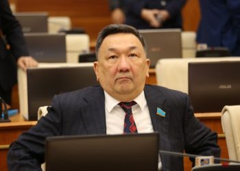 Депутат экологиялық құндылықтарды Ата Заңда ұлттық басымдық деп бекітуді ұсынды