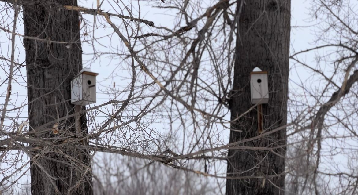 Абай облысында «Табиғатты аялайық» экологиялық акциясы өтті