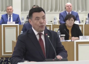 Конституциялық комиссия мүшесі: Жаңа Конституция мәселесін қарау орынды