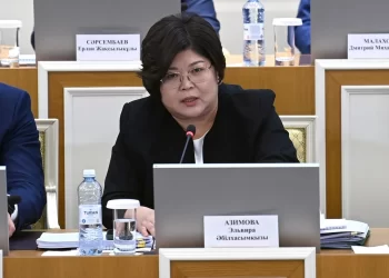 Конституциялық комиссия: екі мыңнан астам ұсыныс түсті