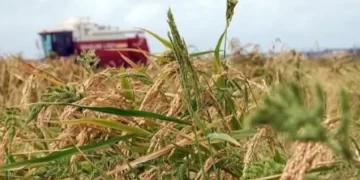 Сыр бойы нағыз еңбек адамдарының мекені — Мемлекет басшысы