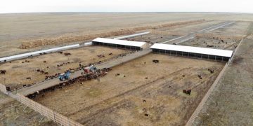 Ақсуатта сауда-сервис кеңейіп, 2026 жылға дейін жаңа кешендер іске қосылмақ