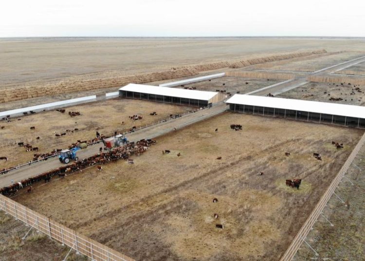 Ақсуатта сауда-сервис кеңейіп, 2026 жылға дейін жаңа кешендер іске қосылмақ