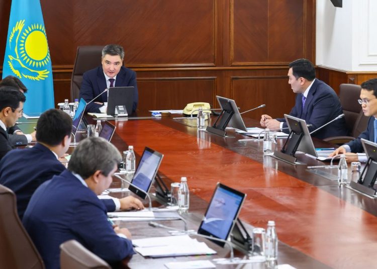 Олжас Бектенов «ДӨО алқабы» жобасы аясында Президент тапсырмаларының орындалуы бойынша жиын өткізді