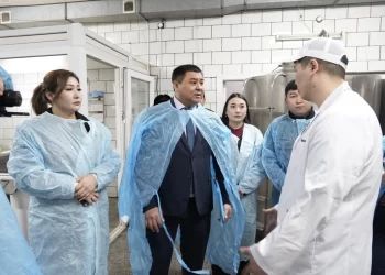 Семейде әлеуметтік маңызы бар азық-түлік нарығы мен инвестициялық жобалар дамуда