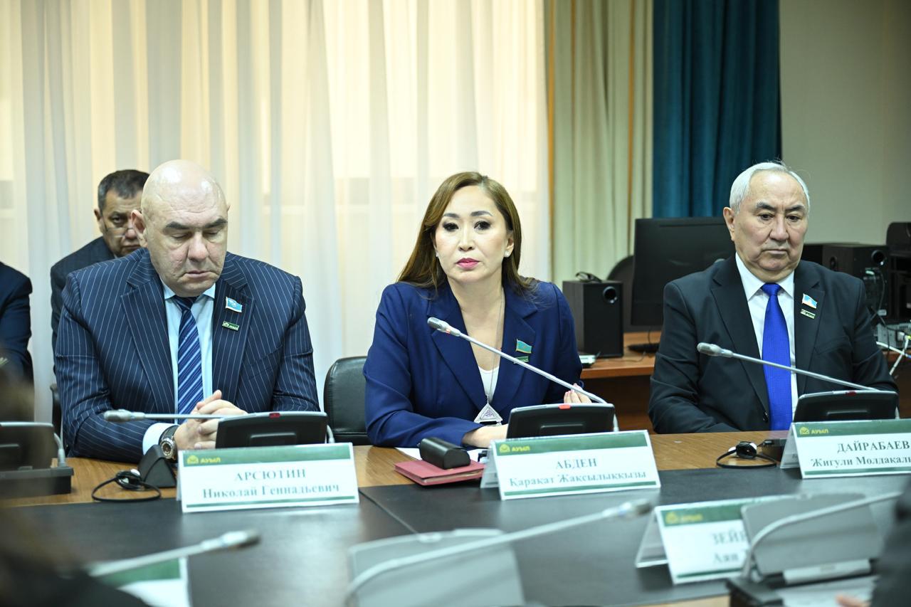 Серік Егізбаев: жаңа Конституция жобасын елге кеңінен түсіндіру керек