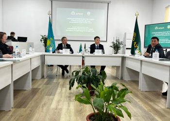 САРАПШЫЛАР КОНСТИТУЦИЯНЫҢ ЖАҢА ЖОБАСЫНА БІРАУЫЗДАН ҚОЛДАУ БІЛДІРДІ