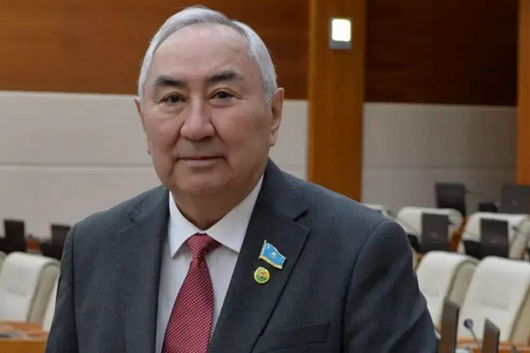 Ауылдың әлеуеті артпай, мемлекет толыққанды дами алмайды — Жигули Дайрабаев