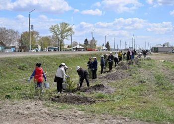 Тазалыққа талап күшейді: Абай облысында «Таза Қазақстан» бағдарламасы талқыланды