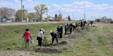 Тазалыққа талап күшейді: Абай облысында «Таза Қазақстан» бағдарламасы талқыланды