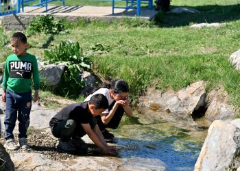 Жарма ауданындағы киелі бұлақ маңы тазартылып, көшет отырғызылды