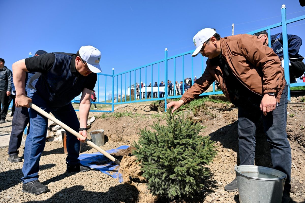 Жарма ауданындағы киелі бұлақ маңы тазартылып, көшет отырғызылды