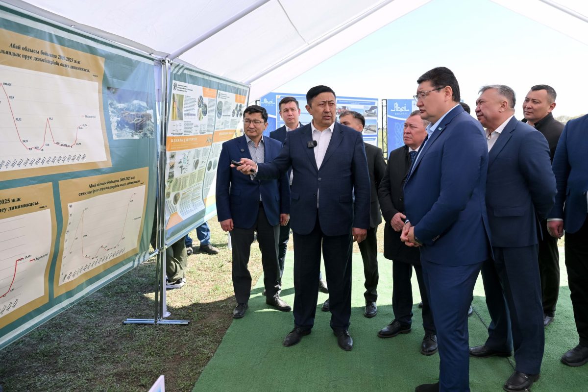 Шегірткеге қарсы күрес күшейтілді