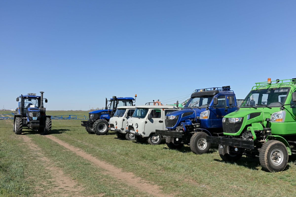 Шегірткеге қарсы күрес күшейтілді