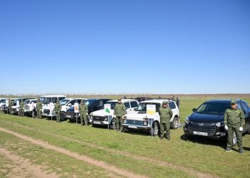 Шегірткеге қарсы күрес күшейтілді