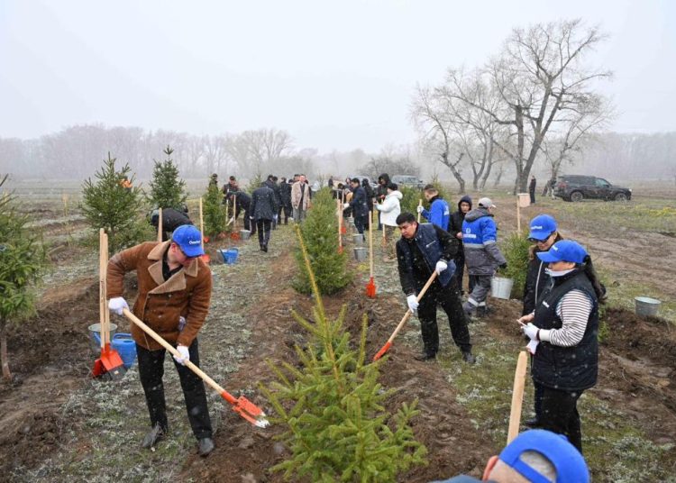 «Самұрық-Қазына» қоры өкілдері Семейде ағаш отырғызу шарасына қатысты