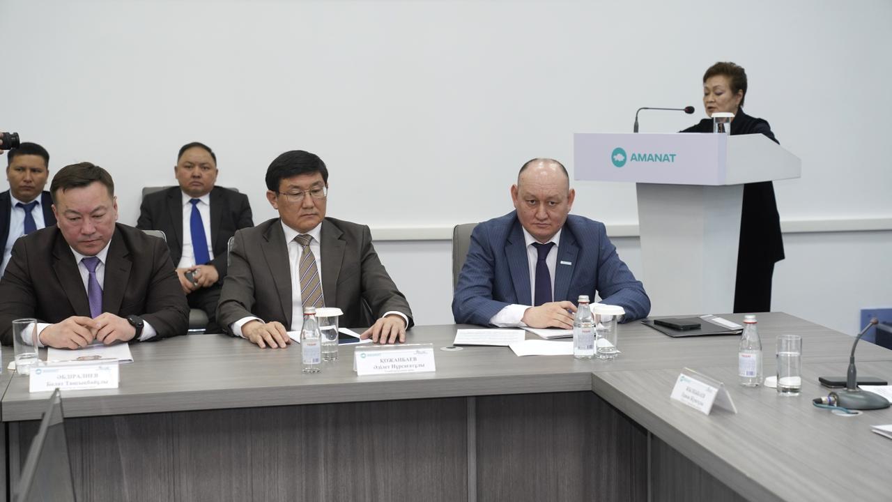 «AMANAT» партиясының жобасы түйткілді мәселелердің түйінін тарқатады