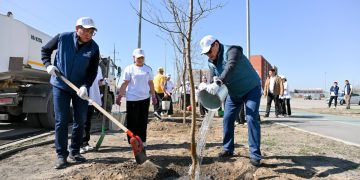 Семейде 200-ден астам ағаш отырғызылып, көгалдандыру жұмыстары басталды