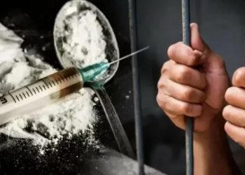 Абай облысында есірткіге қарсы күрес күшейтілуде