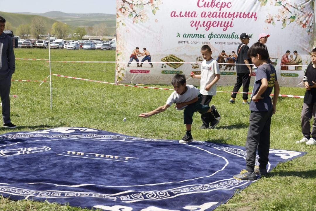 Жетісу облысында «Сиверс алма ағашының гүлдеуі» фестивалі жоғары деңгейде өтті